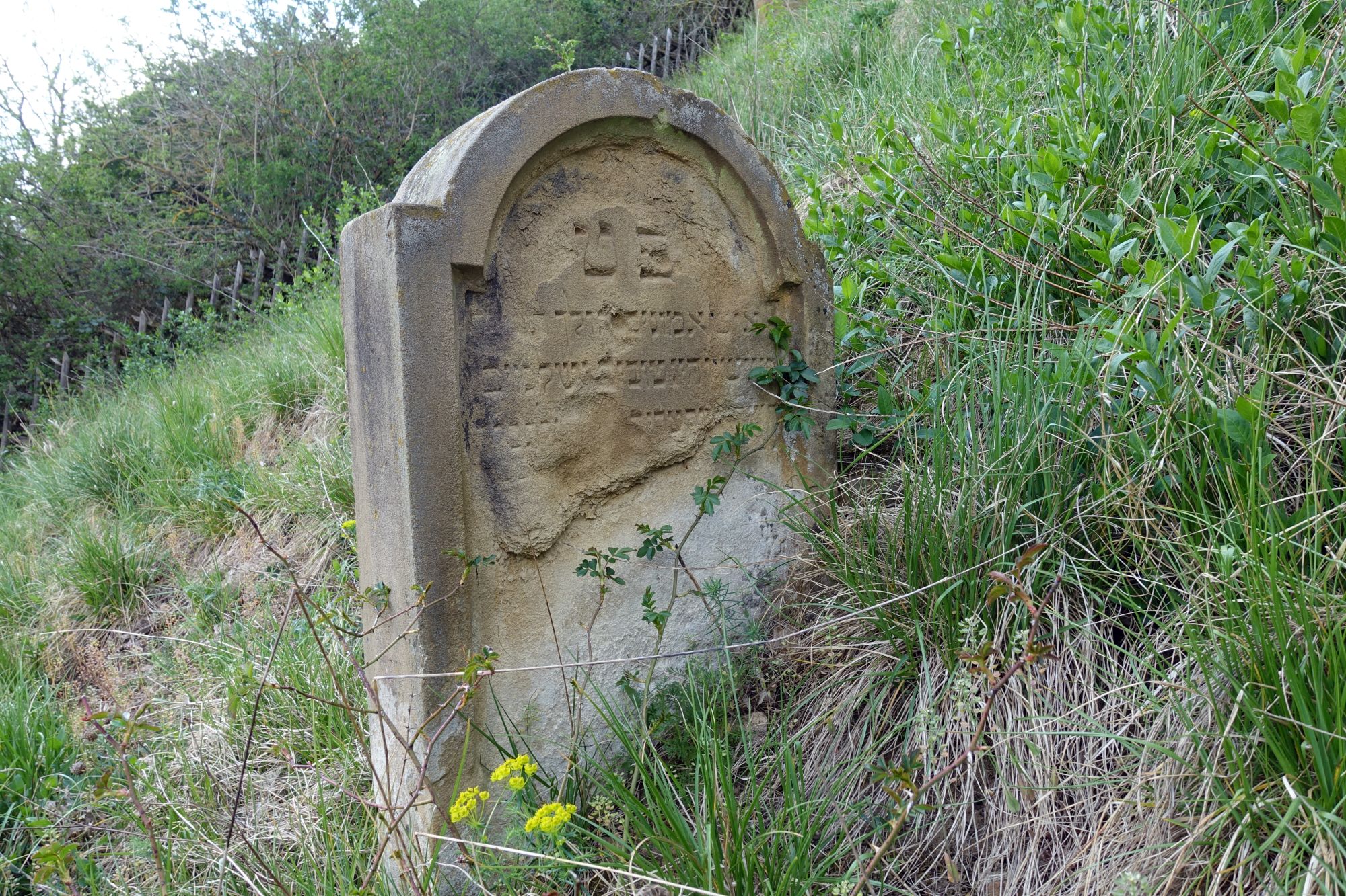 Der jüdische Friedhof in Tiefenthal (VG Bad Kreuznach, Kreis Bad Kreuznach)